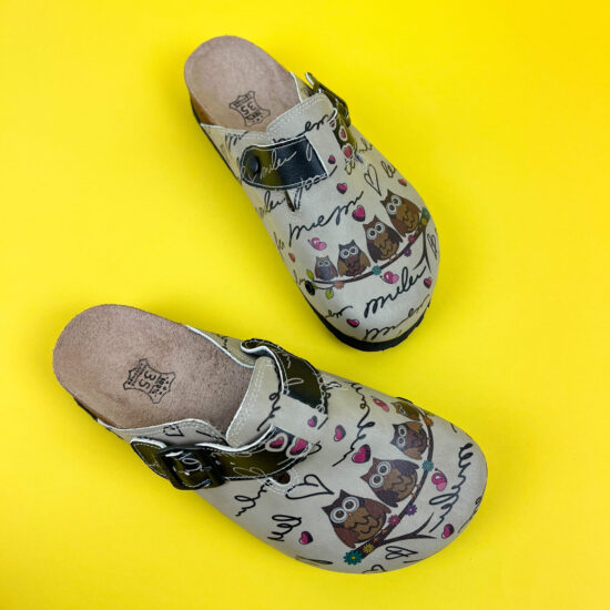 Owl Family Owl Family