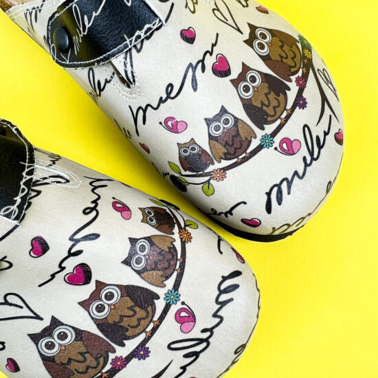 Owl Family Owl Family