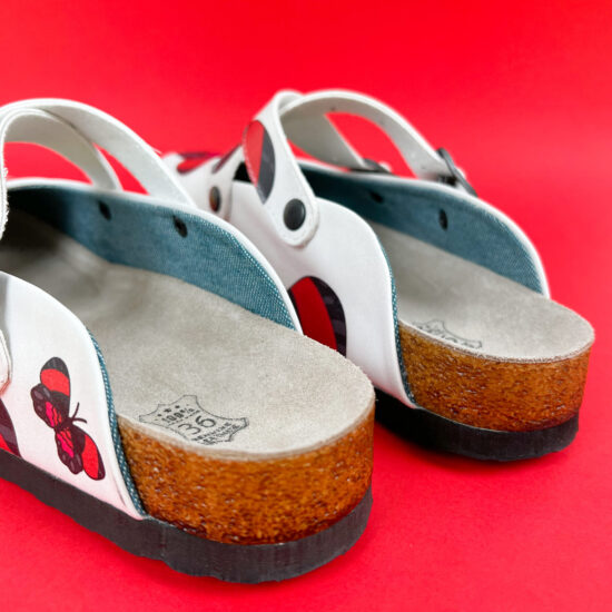 Big Butterfly Big Butterfly