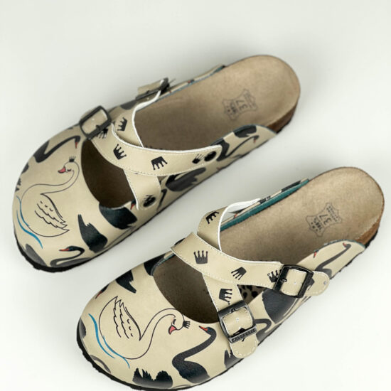 Graceful Swan Graceful Swan