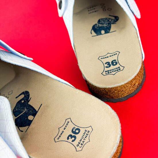 Chromosomes Chromosomes