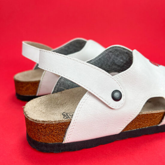 Milk Snake Milk Snake