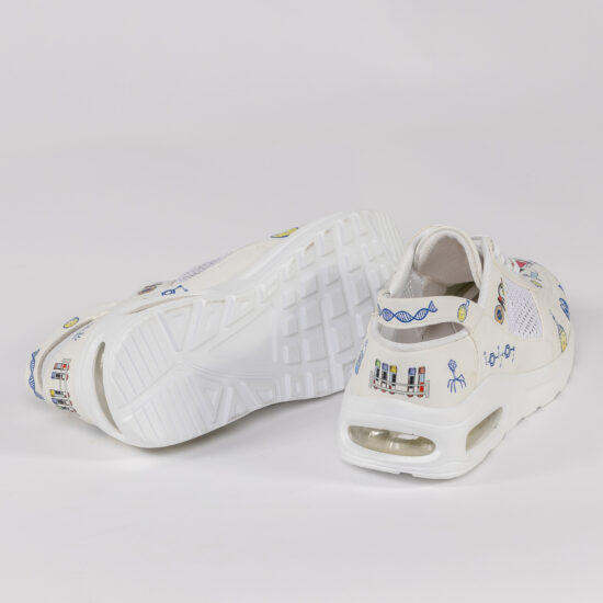 Chromosomes Chromosomes