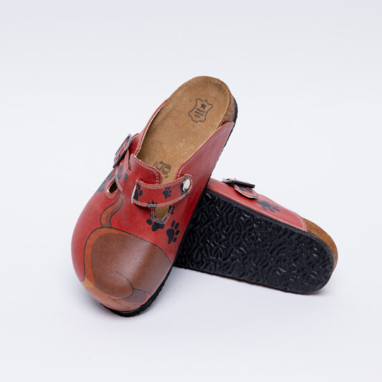 Funny Dachshund Funny Dachshund