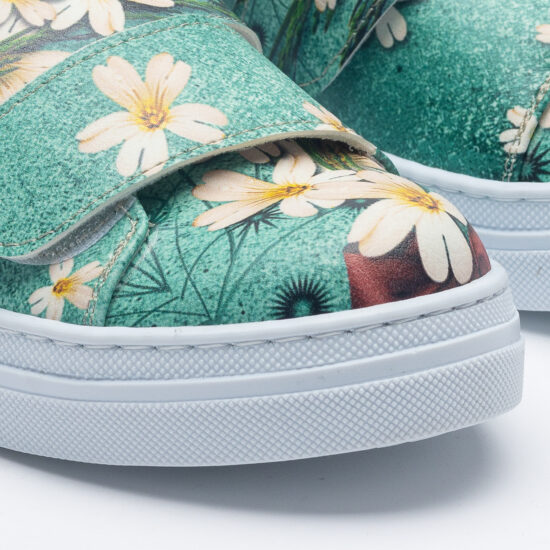 Daisy garden Daisy garden