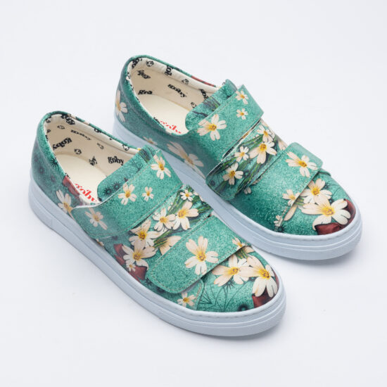 Daisy garden Daisy garden