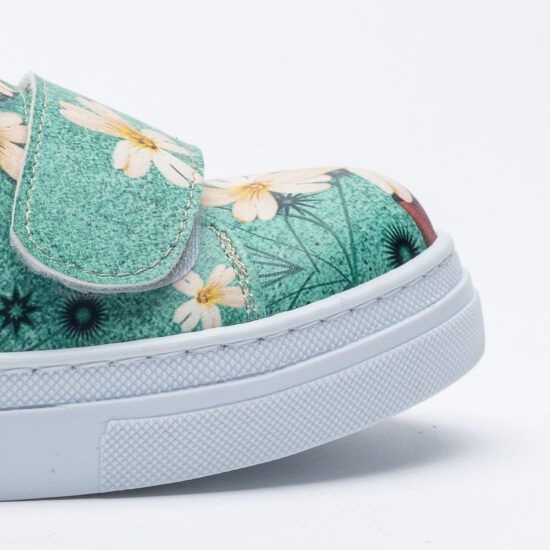 Daisy garden Daisy garden