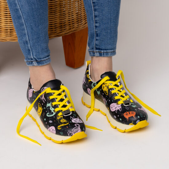 Colorful Cats Colorful Cats