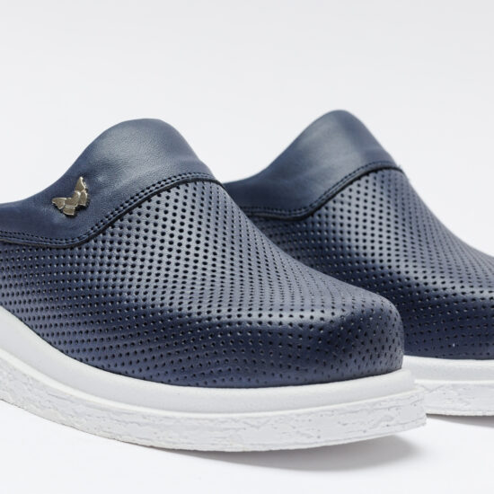 Classic Blue Classic Blue