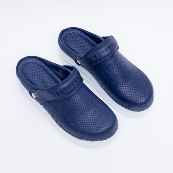 Classic Blue Classic Blue