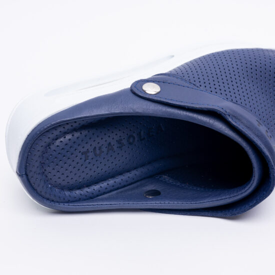 Classic Blue Classic Blue