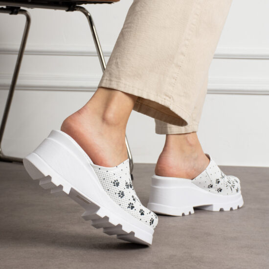 Paw Patrol Paw Patrol